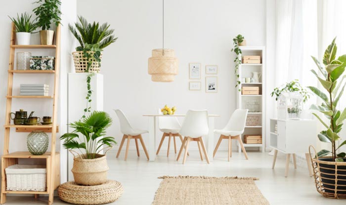 Home Decor with Plants – 15 Effective Ways to Dress Up Your Space!!