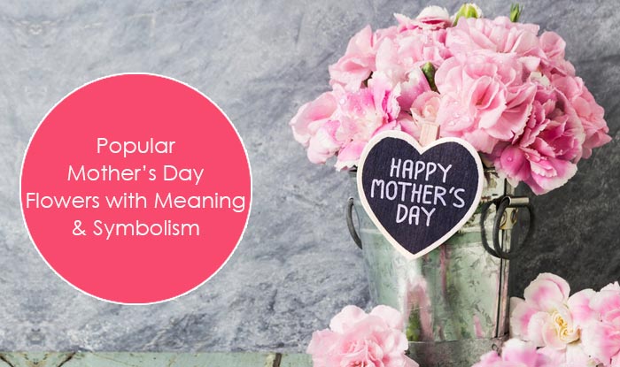 10 Popular Mother’s Day Flowers with Meaning & Symbolism