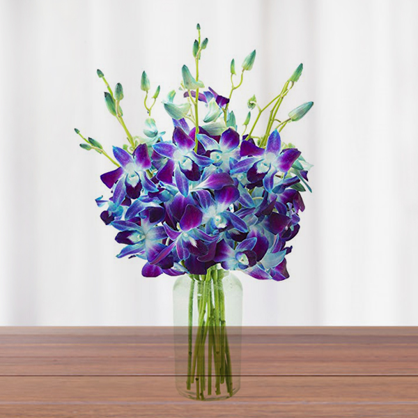 Send Blue Orchids Vase Online - GAL20-94688 | Giftalove