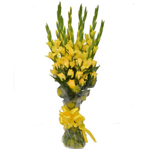 Charming Yellow Gladiolus Bouquet