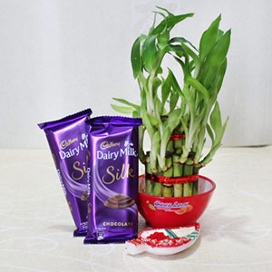 The Luckiest Bhai Dooj Celebration