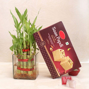 250gm Soan Papdi with Lucky Bamboo