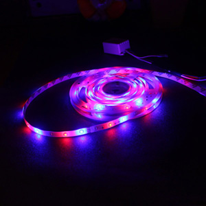 Multicolored LED Strip Light Roll