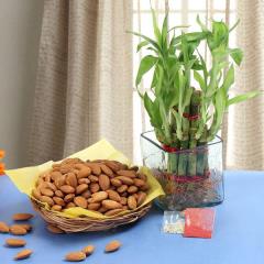 Braceful Bhaidooj Celebration Bhaidooj
