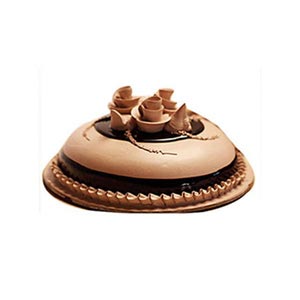 Special Chocolate Cake