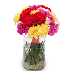 Mixed Carnations in Glass Vase