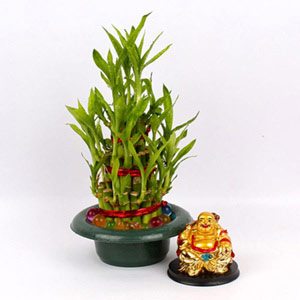 Laughing Buddha with Good Luck Bamboo Plant
