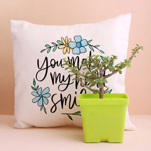 Beautiful Jade Plant and Cushion Combo