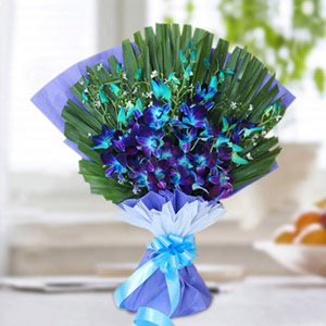 Gorgeous Blue Orchids