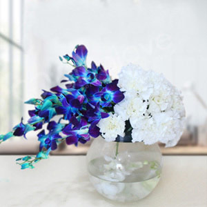 Blue Orchids & White Carnations Blend