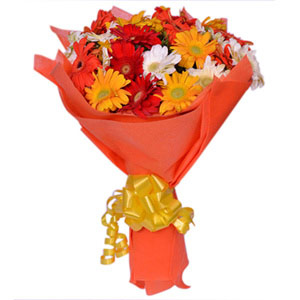Appreciative Gerbera Bouquet
