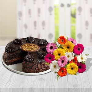 Chocolate Mousse Cake with Dozen Mixed Gerberas Bouquet