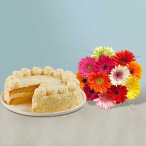 Vaniila Cake with Gerbera Daisies Bouquet Combo