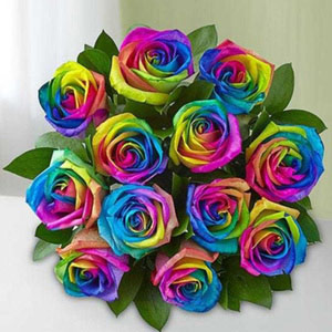 12 Kaleidoscope Roses Bouquet