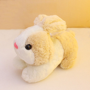 Cute Rabbit 