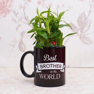 Best Brother Mug with Lucky Bamboo