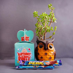 Birthday Box with Jade Plant N Chocolates