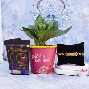 Bracelet Rakhi with Snake Plant N Chocolates