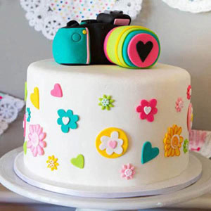 Colorful Camera Cake