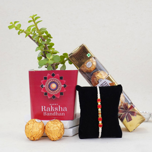 Designer Rakhi N Jade Plant Gift Pack