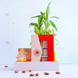 Lord Ganesh Idol with Lucky Bamboo Plant and Diwali Chocolate Hamper
