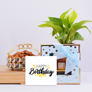 Money Plant with Chocolates N Almonds                      