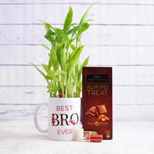 Mug With Lucky Bamboo and Chocolate for Bhai Dooj
