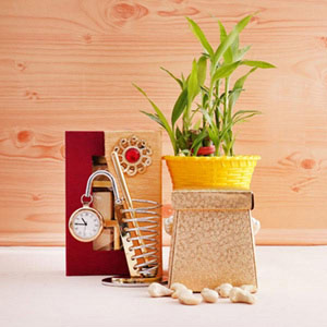 One Lucky Bamboo Plant with Chocolates and Dry Fruits Hamper 