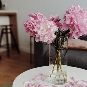 Striking Pink Carnations in Glass Vase 
