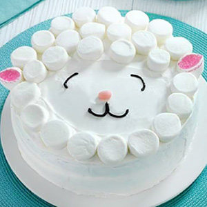 Vanilla Flavored Marshmallow Cake