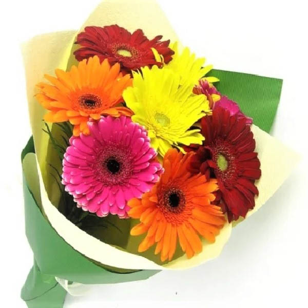 Send Gerberas Online GAL22102992 Giftalove