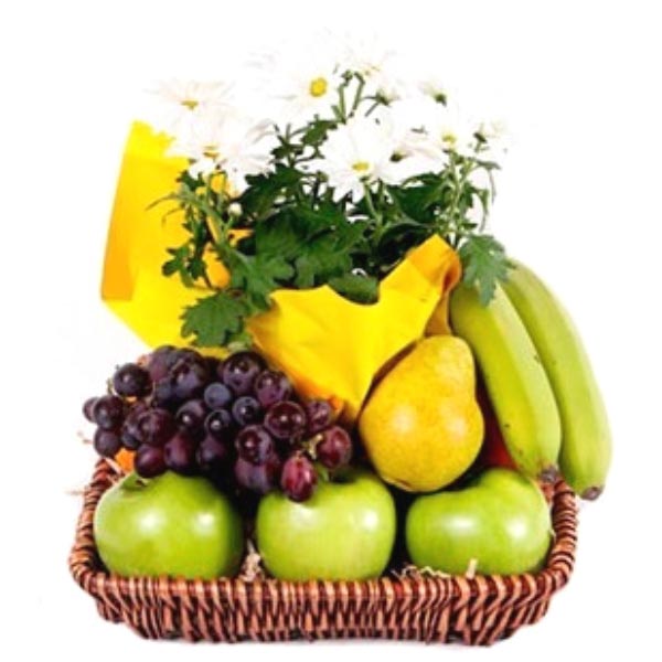 Send Fruits & Flowers Gift Basket Online GAL22102233 Giftalove