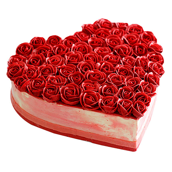 Send Rose Cake Online