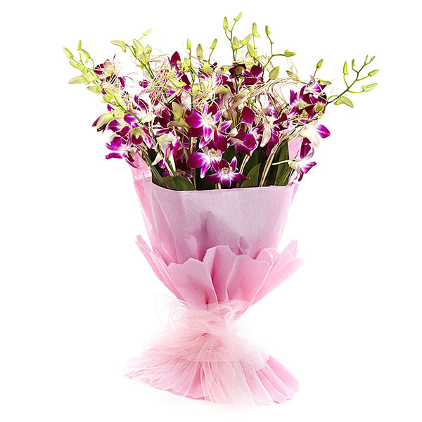 Send 10 purple Orchids Bouquet Online