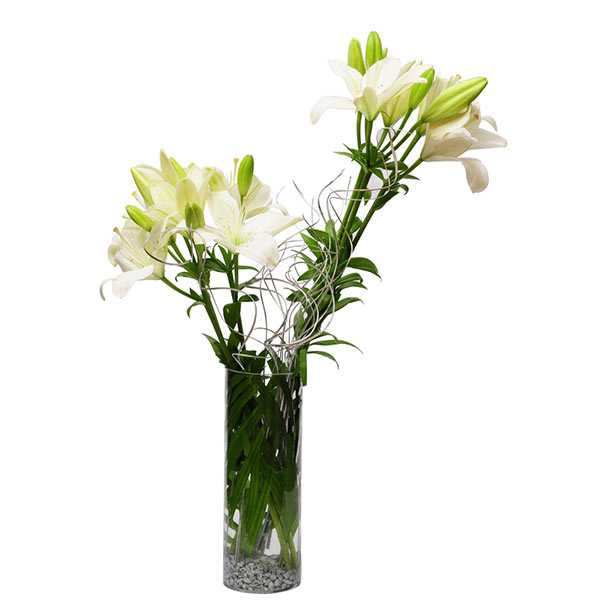 Send Sweet White Lily Glass Vase  Online