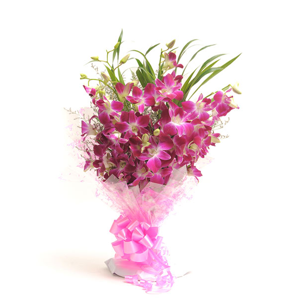 Send Enchanting Purple Orchid Bunch Online