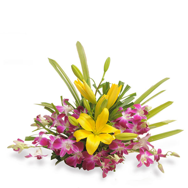 Send Mystical Yellow Lilies & Orchids Basket Online