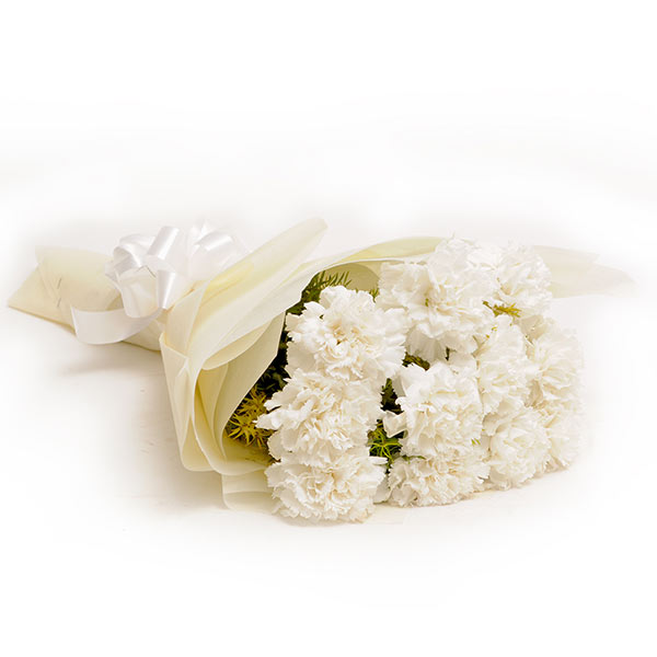 Send 12 White Carnations Online