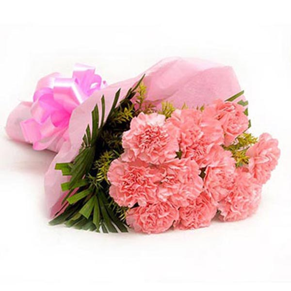 Send Heartwarming Pink Carnations Online