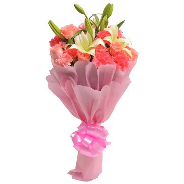 Send Carnations N Lilies Online