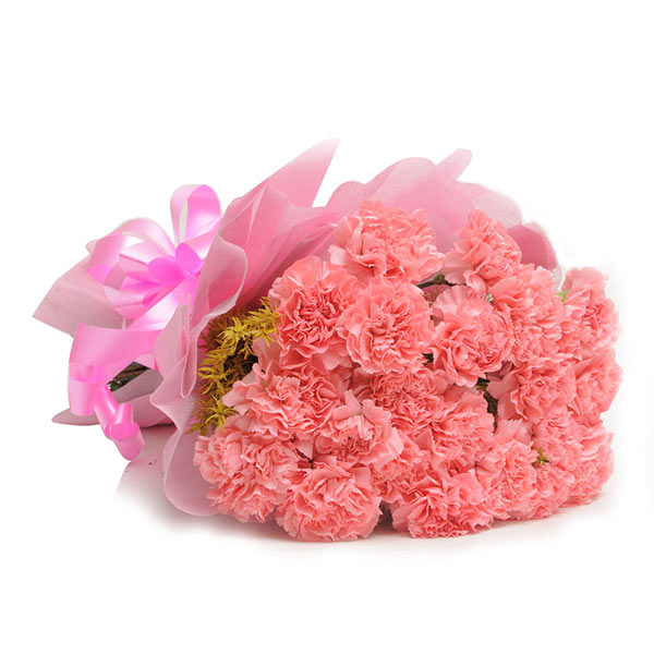 Send 15 Pink Carnations Online