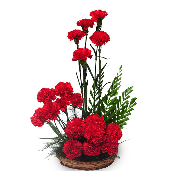 Send Designer Red Carnations Basket Online