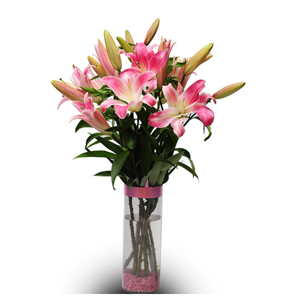 Send 6 Pink Oriental Lilies in Glass Vase Online