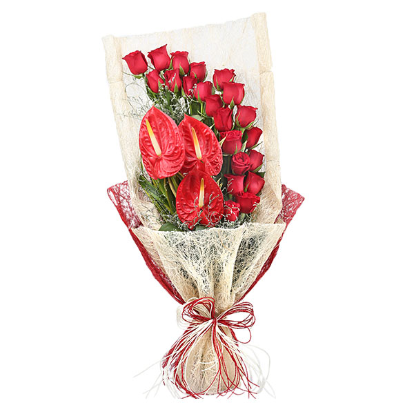 Send Magical Red Rose Bouquet with Anthurium Flower Online