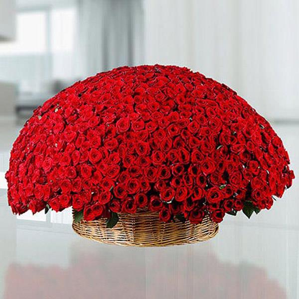 Send 800 Red Roses Flower Arrangement Online
