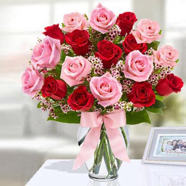 Send Pink and Red Roses in Glass Vase Online
