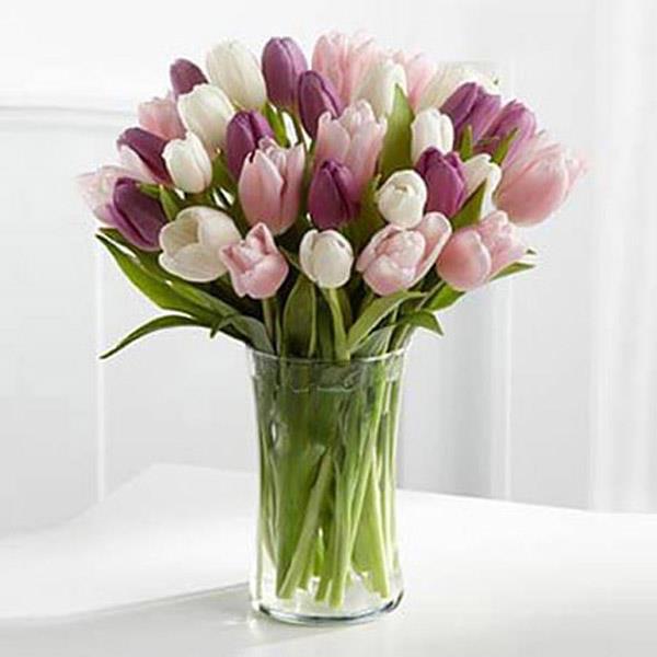 Send Tulips in Glass Vase Online