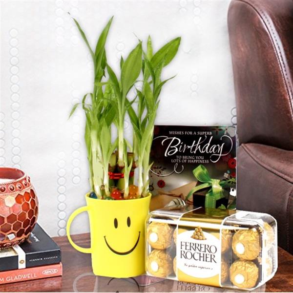Send Good Luck Bamboo Plant, Birthday Greeting Card With Ferrero Rocher Box. Online