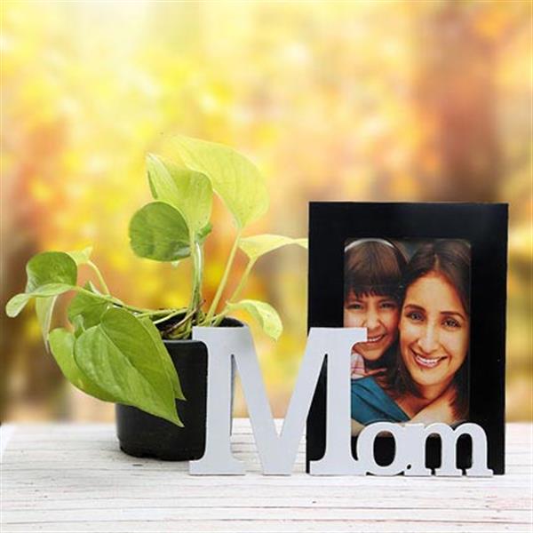 Send Personalized Mom Frame N Plant Online