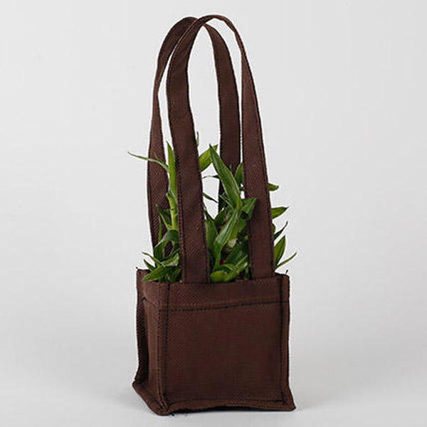 Send Two Layered Bamboo in Coffee Brown Bag Online